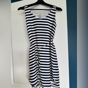 LOFT XS Petite Navy and Cream Dress